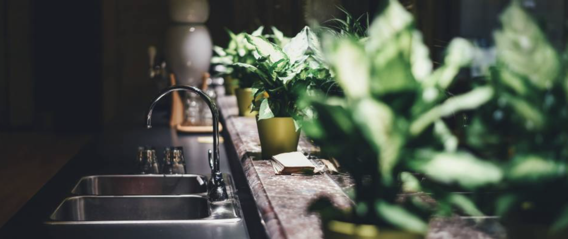 Combatiendo el 'síndrome del edificio enfermo' con flores y plantas interiores