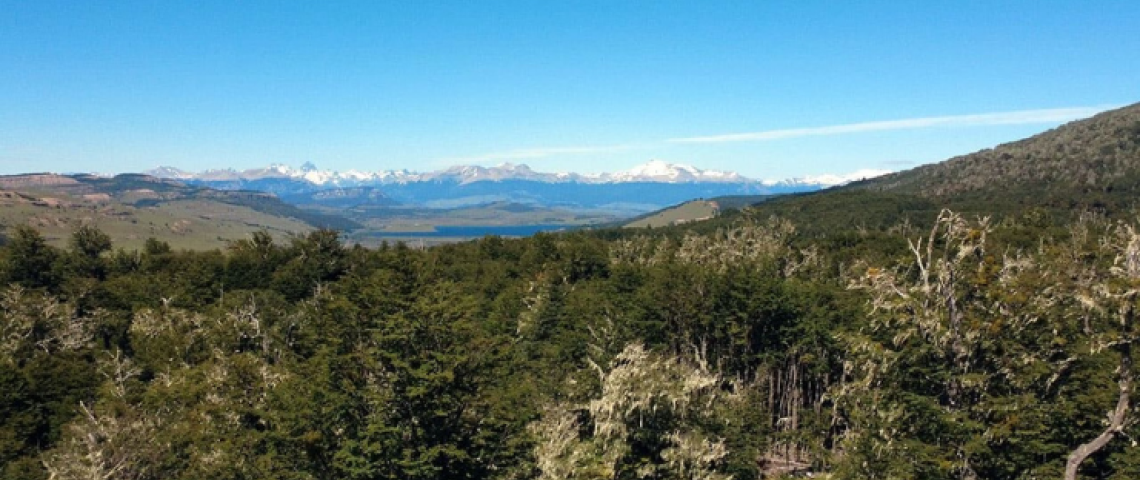 Perfiles de los inversionistas inmobiliarios que compran en el sur de Chile: jóvenes, familias y una vida entre naturaleza y rentabilidad