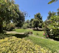 Jardín con crecidos arboles, plantas y mucho pasto.