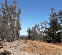 Visite Pichilemu, le encantará