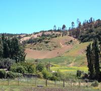 Terreno 360 grados dentro de Condominio en Pupuya