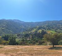 Sector dentro de la reserva de la biósfera La Campana Peñuelas