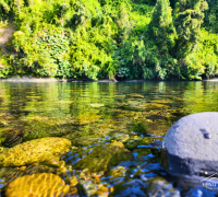 Foto Parcela con salida al rio