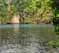 Foto Parcela con salida al rio