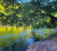 Foto Parcela con salida al rio