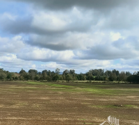 campo