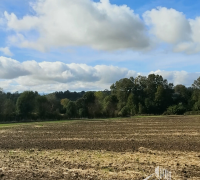 agricola