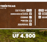 Caracteristicas 