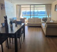 living comedor