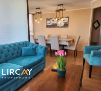 hermoso y espacioso living comedor