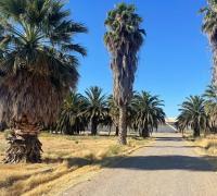Parcelas industriales en venta en Lampa, terrenos de 5000 m² en sector Lo Echevers con conectividad estratégica.