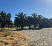 Parcelas industriales en venta en Lampa, terrenos de 5000 m² en sector Lo Echevers con conectividad estratégica.