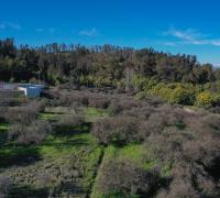 Terreno en venta en Talca, 5200 m² en Cerro de la Virgen con vistas a la cordillera e ideal para proyectos habitacionales.