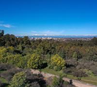 Terreno en venta en Talca, 5200 m² en Cerro de la Virgen con vistas a la cordillera e ideal para proyectos habitacionales.