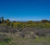 Terreno en venta en Talca, 5200 m² en Cerro de la Virgen con vistas a la cordillera e ideal para proyectos habitacionales.