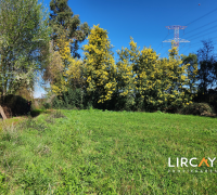 lote superficie con pendiente suave