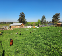 posee corral para aves