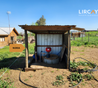 noria con agua a cinco metros de profundidad