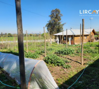 invernadero en construcción