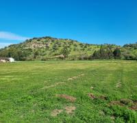 Terrenos Planos
