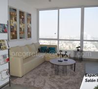 Espacio común - salón lounge