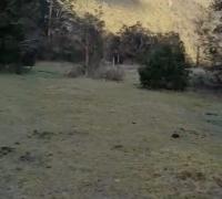 Se vende Terreno de 5.000 mts 2, a orilla camino,en sector El Manzo, Río Puelo, comuna de Cochamó, región de Los Lagos, Chile.  Excelente oportunidad de negocio, en un lugar privilegiado con hermosas vistas a cerros y montañas, a 100 metros aproximadamente se encuentra el río Frío o Manzo, afluente del río Puelo que desemboca en el estuario del Reloncavi.  Siendo un paraíso para los amantes de la pesca con mosca.