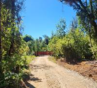 camino ingreso a propiedad.