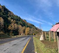 RUTA T 203