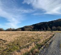 PROYECTO CUENTA CON RESERVA ECOLOGICA