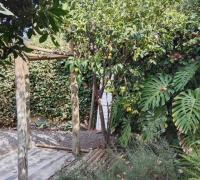 Jardin 3