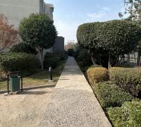 Areas verdes