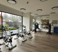 gimnasio