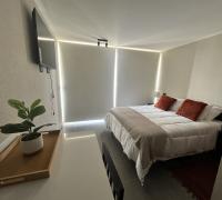 Cortinas roller