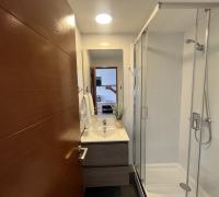 Shower door 