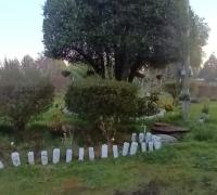ANTE JARDIN DE CASA CON VARIADA VEGETACION Y ARBOLES