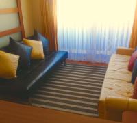 Living con salida a balcon y terraza 