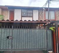 Frontis