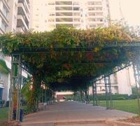 ÁREAS VERDES DEL EDIFICIO
