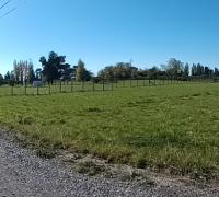 HERMOSA PARCELA, TERRENO PLANO 