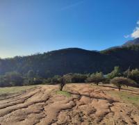 al fondo las montañas y bosque de bellotos