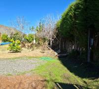 Jardin vegetacion