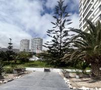 Hermoso parque en su interior 