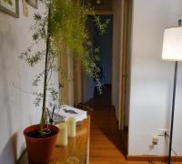 Pasillo amplio
