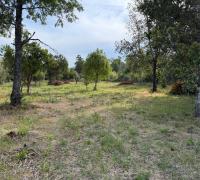 Terreno plano de la parcela