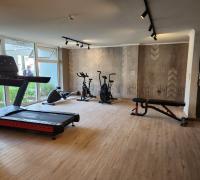 gimnasio 
