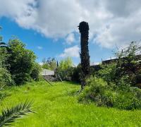 Patio / Terreno