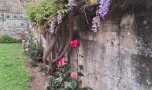 hermosos jardines