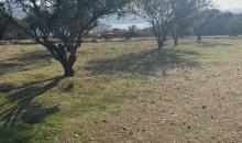 Area común del condominio Penínsulña del Lago, salida al embalse