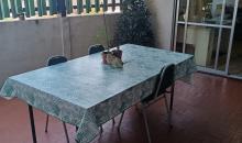 FOTO 9