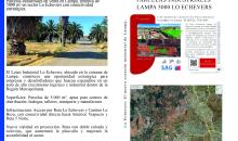 Parcelas industriales en venta en Lampa, terrenos de 5000 m² en sector Lo Echevers con conectividad estratégica.